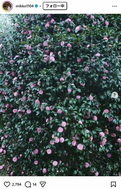 矢野未希子のInstagram投稿