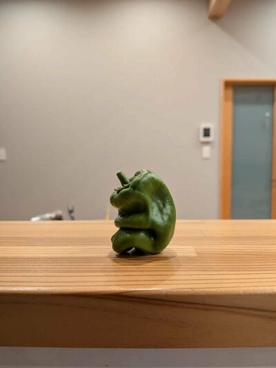 膝を抱えて俯いています