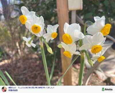 假屋崎省吾の公式ブログ投稿