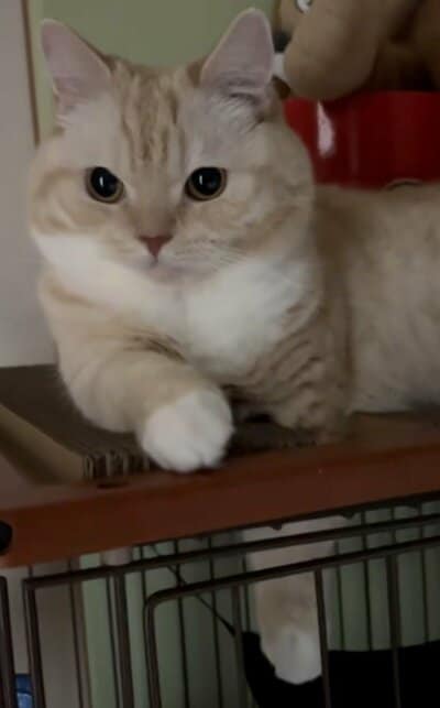 縫くんの足が普段と違う！？