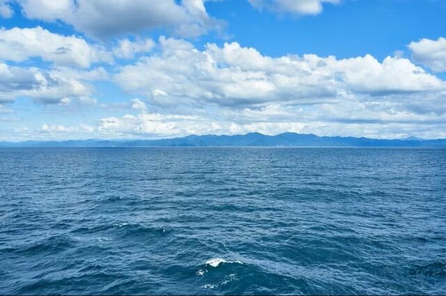 北海道・羅臼沖で発見した「巨大生物」に興奮してしまう　レアな光景に「現実味がない」「実在するの？」