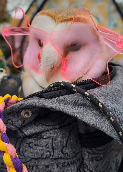 出所：@miki4wan108