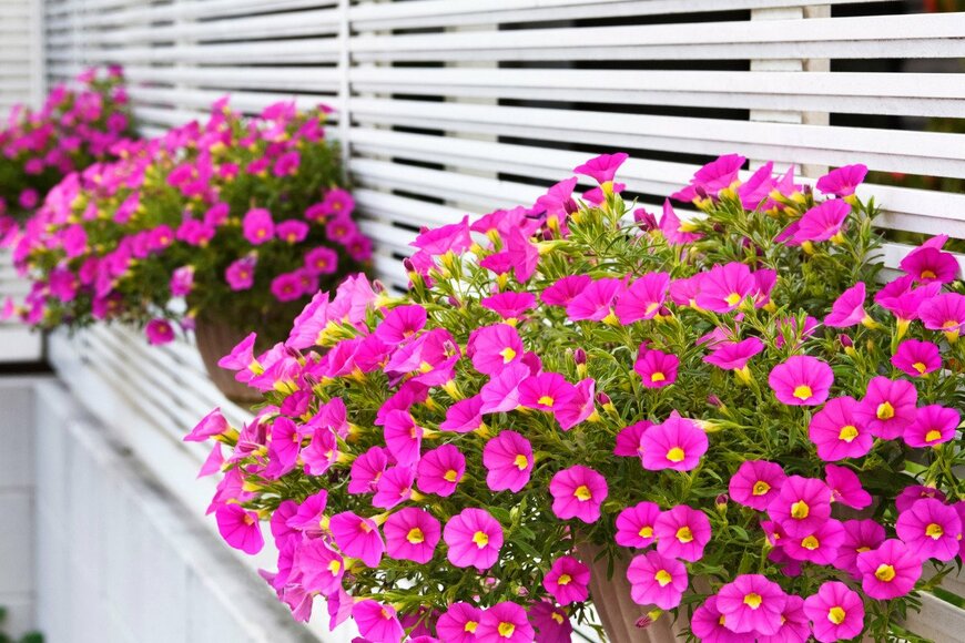 Orthosie/istockphoto.com