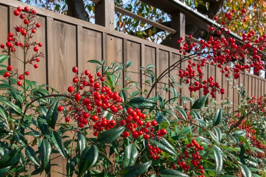 iori/istockphoto.com