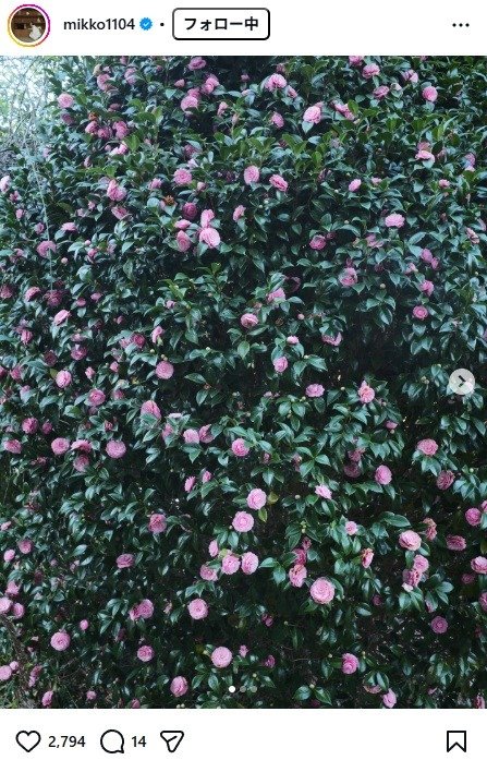出所：矢野未希子のInstagram（＠mikko1104） 参照日：2026年3月24日