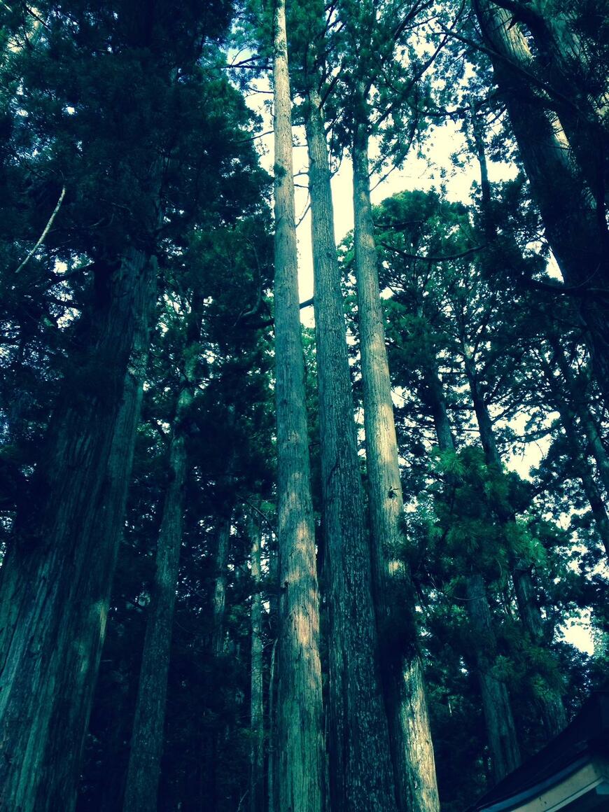 写真：筆者撮影