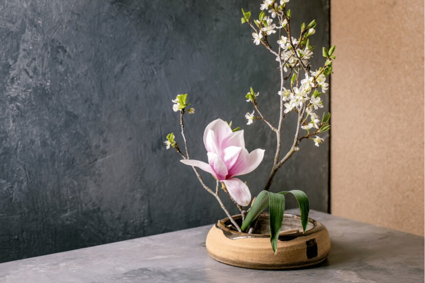 Natasha Breen/shutterstock.com