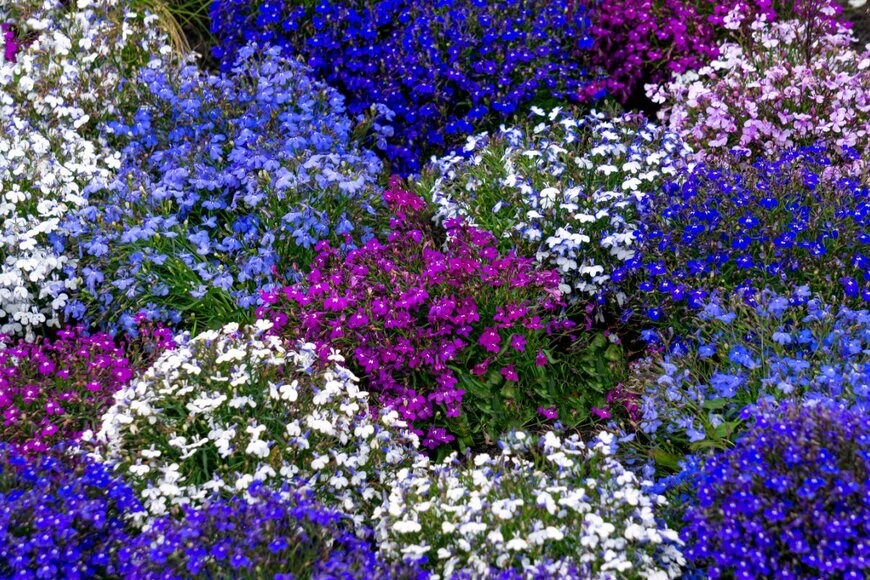 Obraz/shutterstock.com