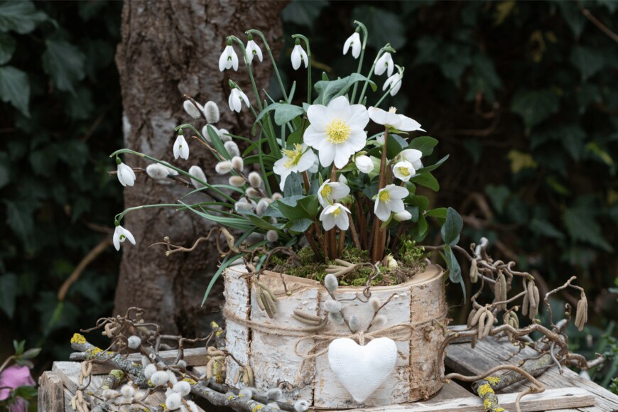 Natalia Greeske/shutterstock.com