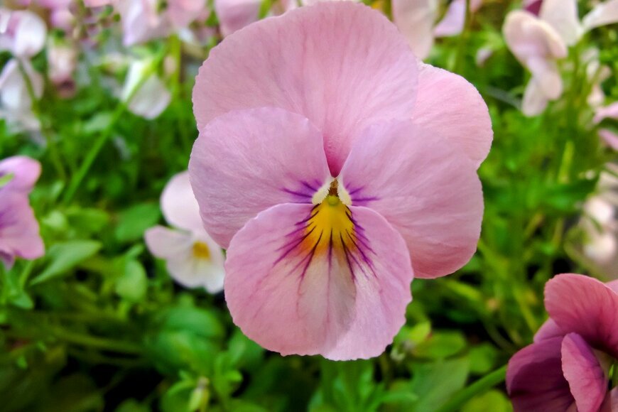 annalovisa/istockphoto.com