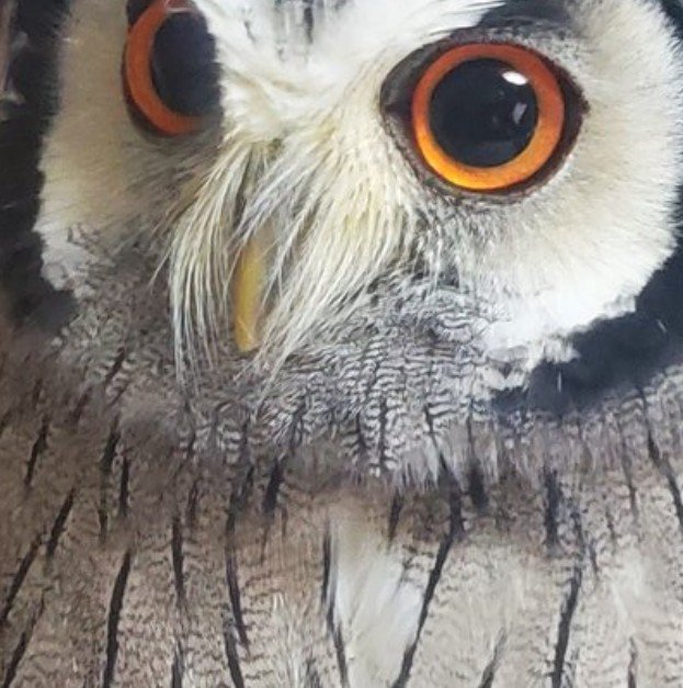 出所：@khmFvyd8Z1Xt4rB