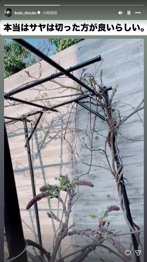 出所：工藤静香のInstagramストーリーズ（＠kudo_shizuka）　参照日：2026年3月30日