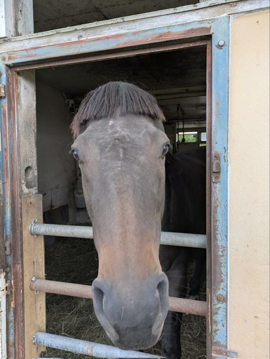 出所：@Shark_Tehm1975