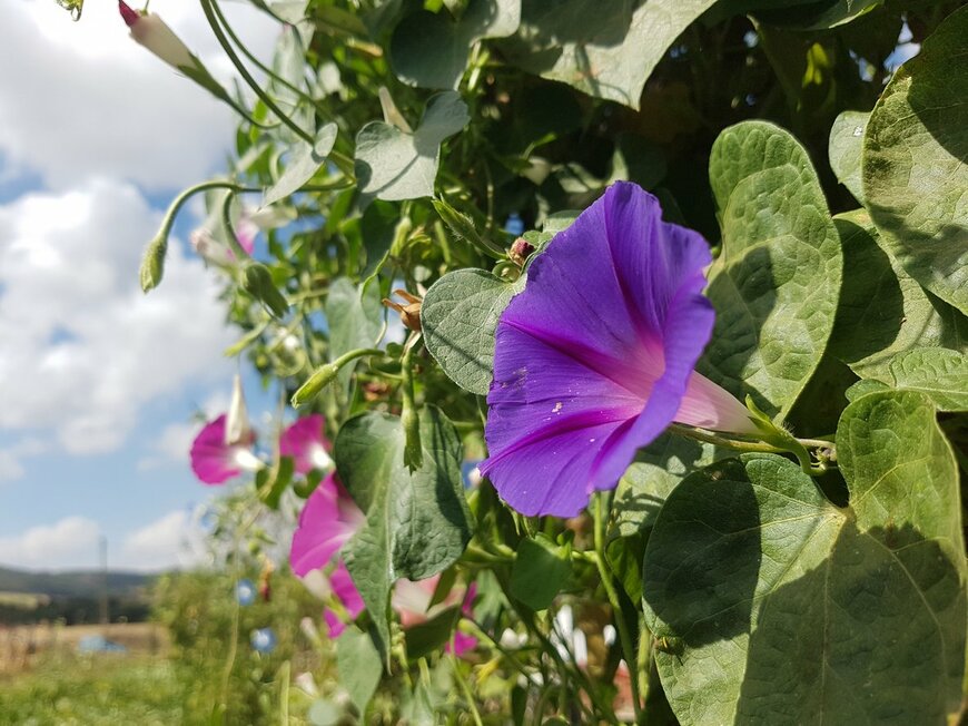 Rimelazk/istockphoto.com