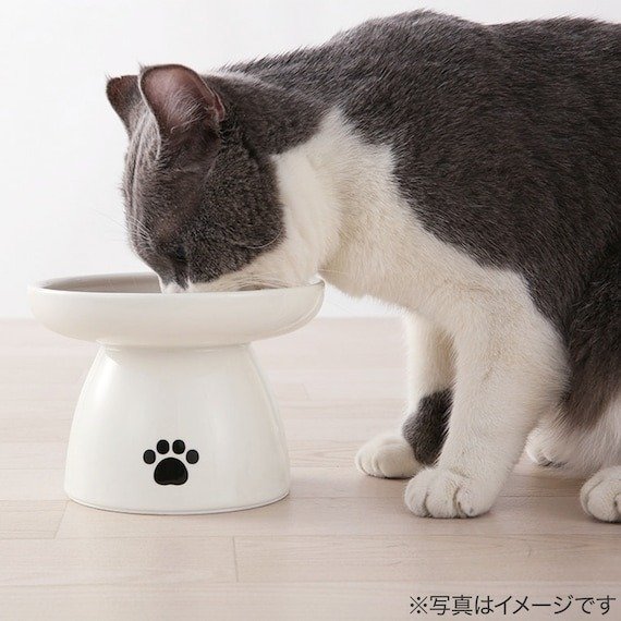 出所：ニトリ公式　高台付きすべりにくいフードボウル（L）