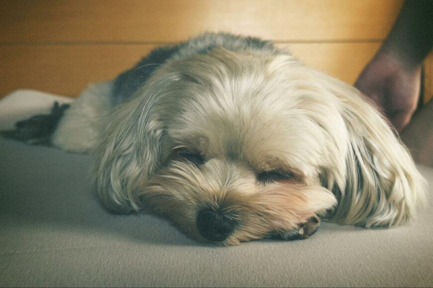 出所：@potage_0924