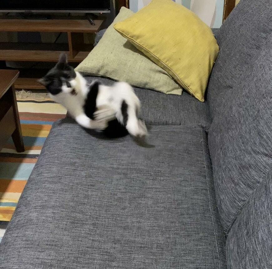 出所：@00shitemita