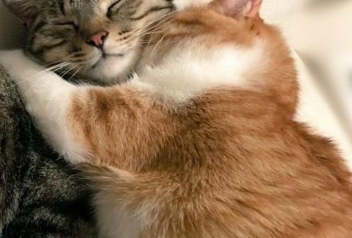 出所：@mero627puri914