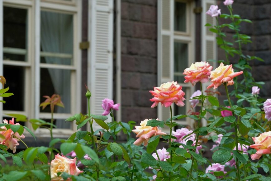 shepherdsatellite/shutterstock.com