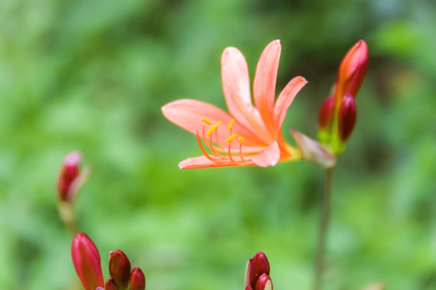 jyugem/shutterstock.com