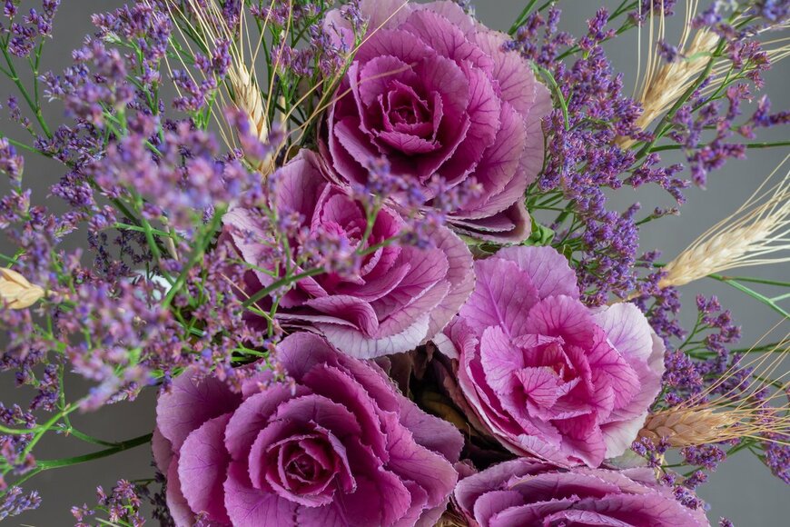 Chaykoi/shutterstock.com