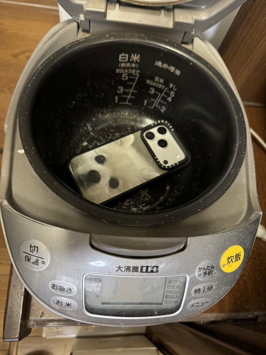 炊飯器の中から発見された