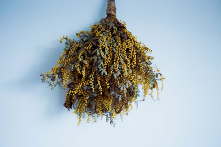 studio I.M.S/shutterstock.com