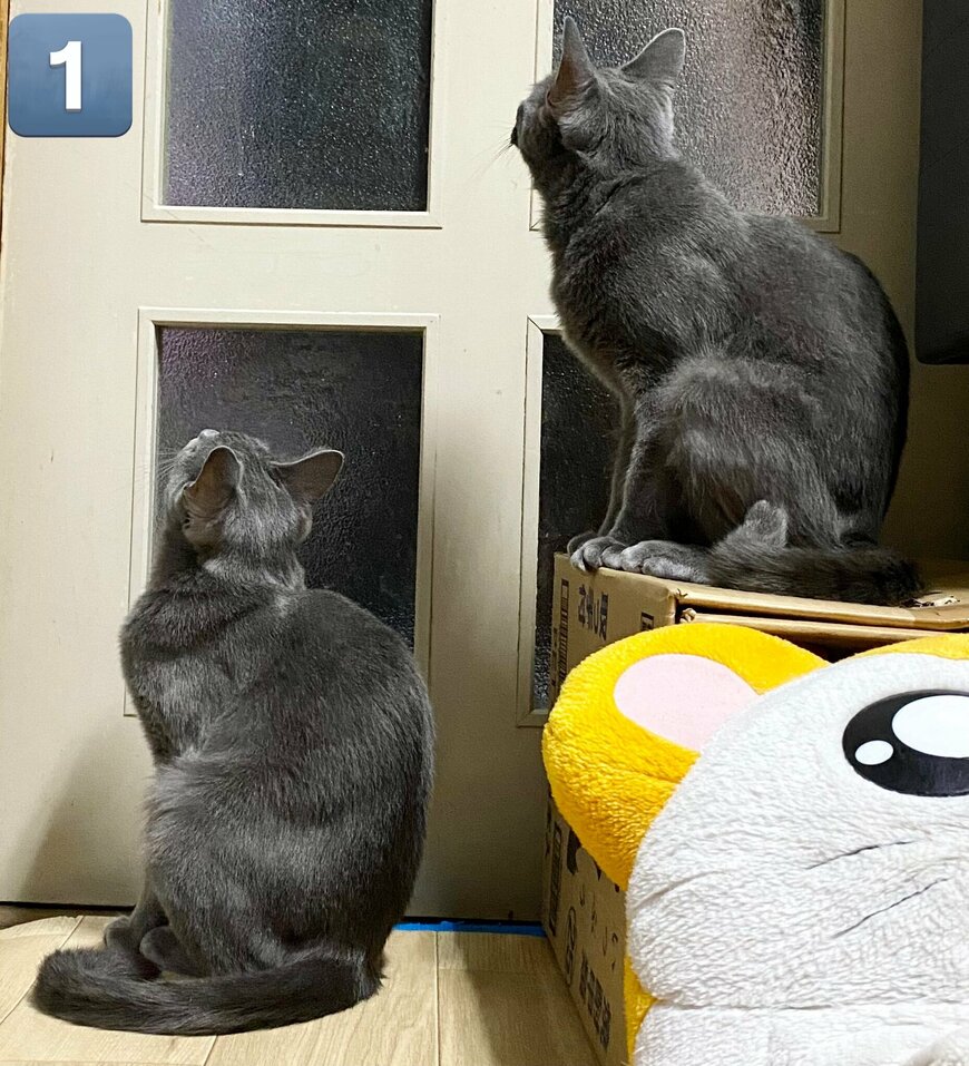 出所：@luna7taka9