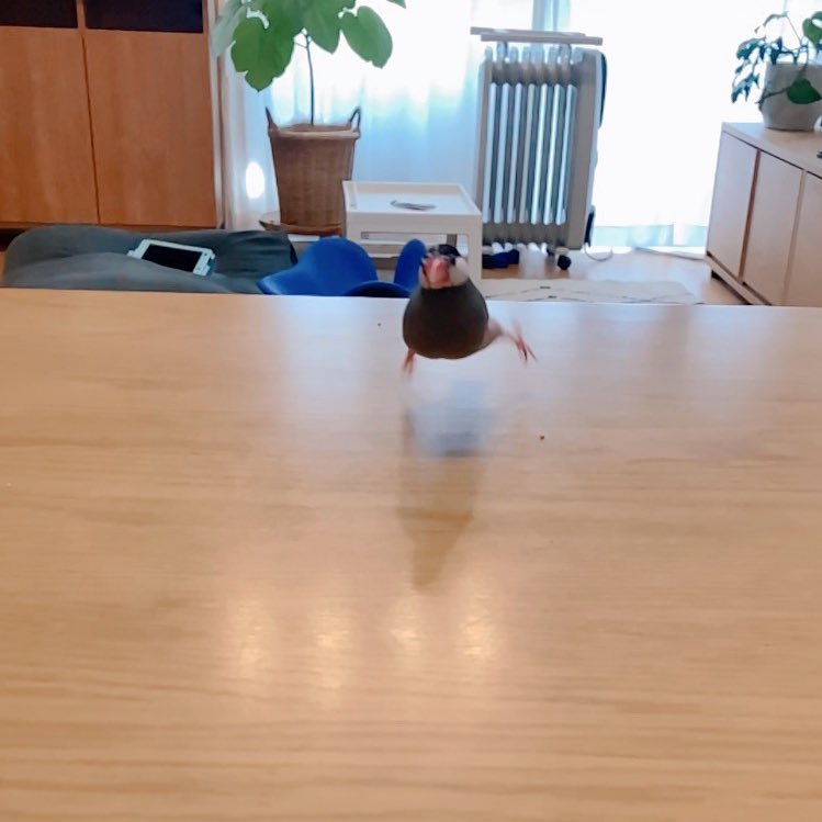 出所：@nebllse0121