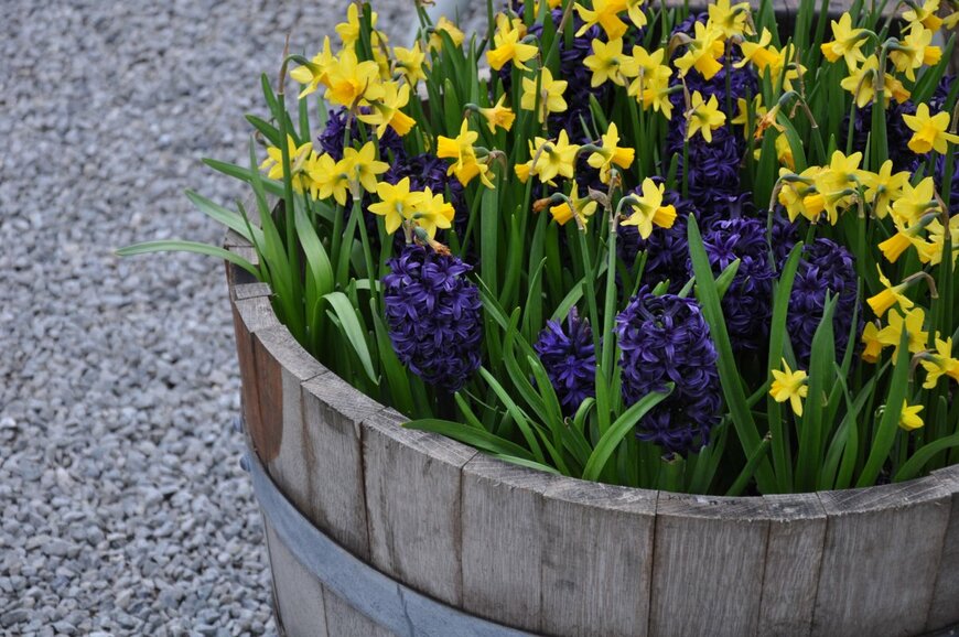 perlphoto/shutterstock.com