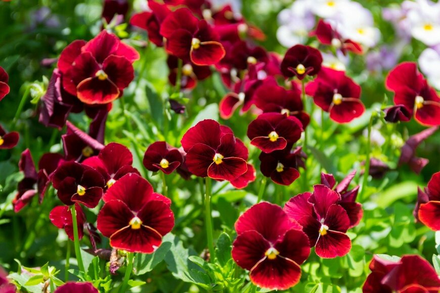 yusek/istockphoto.com