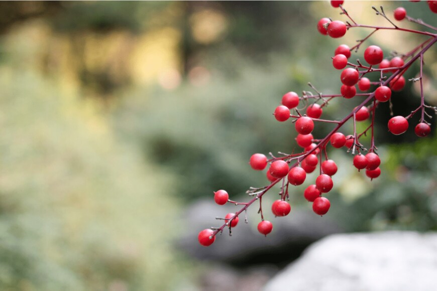 NMTD MEDIA/shutterstock.com