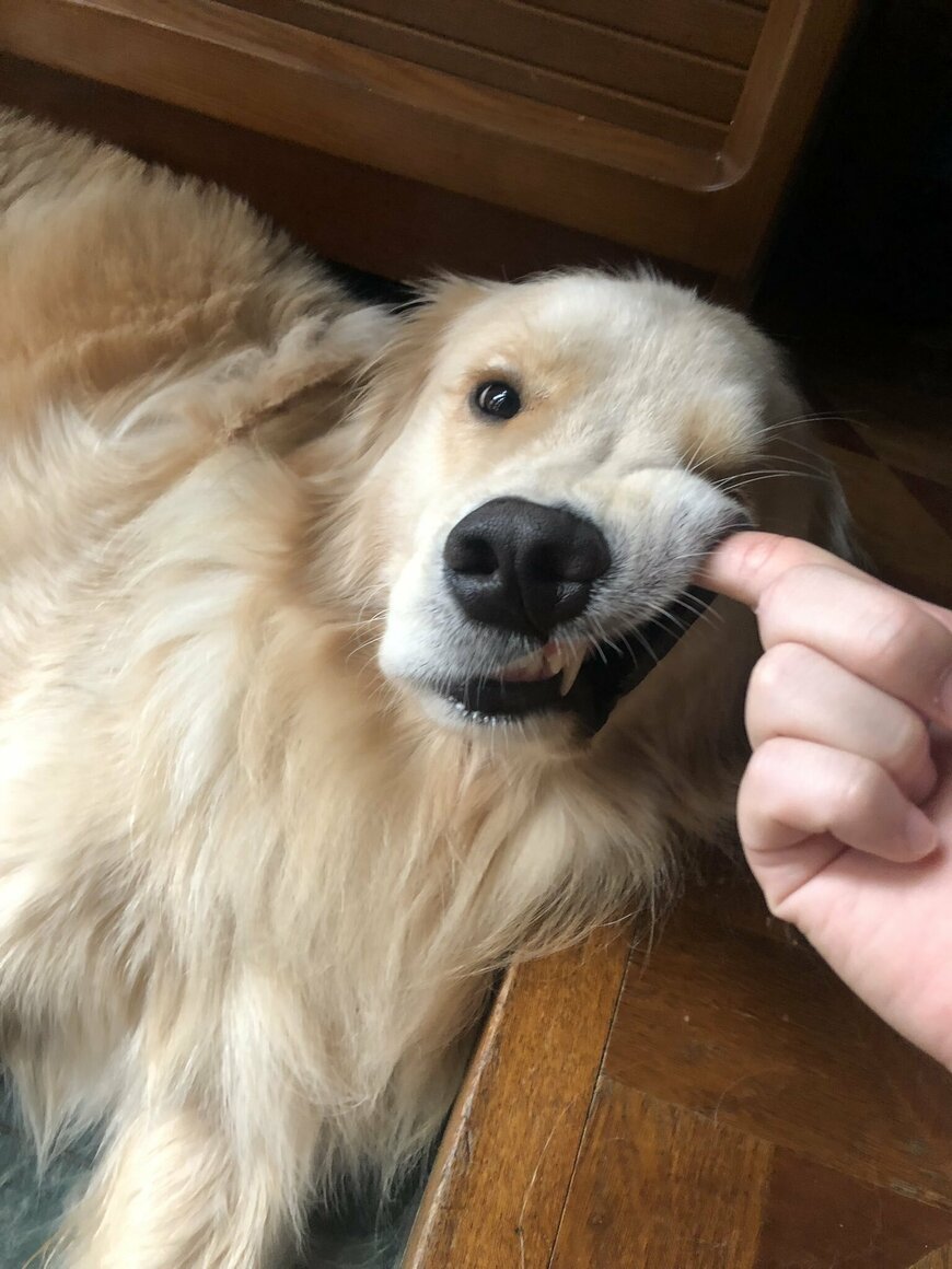 出所：@elmo_golret