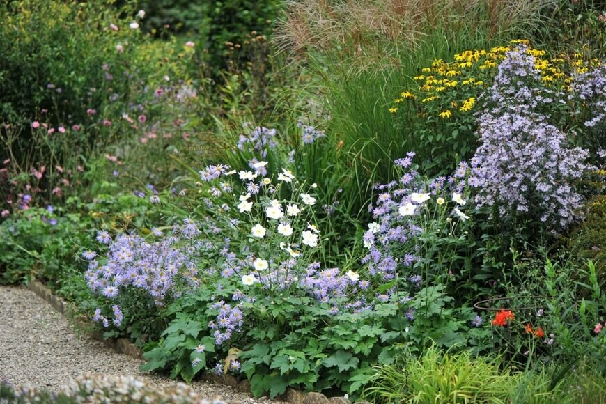 白色や紫色、黄色の花壇