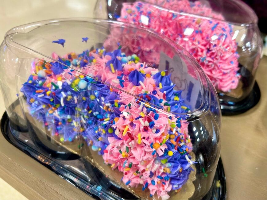 まるでウミウシかと思う色合い