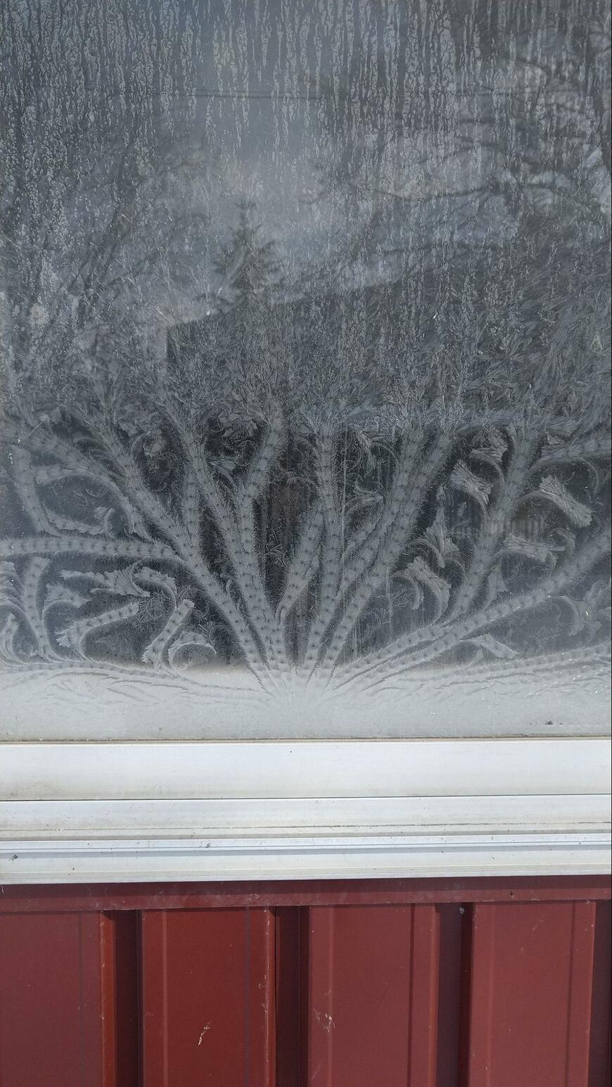 北海道で撮影された窓ガラス