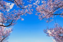 【2025年度の年金情報】4月分から厚生年金・国民年金はプラス1.9%に。増えた年金はいつもらえる？