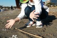 大学生が貝殻で作った「刺身の盛り合わせ」に6万いいね　リアルすぎる完成品に驚きの声