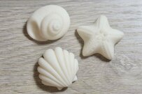 粘土が上手い女性が「貝殻」を作ったら　衝撃の仕上がりに「え？既製品じゃないの？」