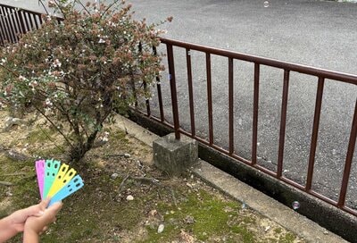 セリア、せんすしゃぼん玉商品画像