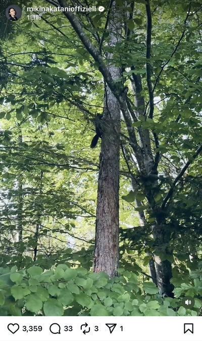 中谷美紀のInstagram投稿