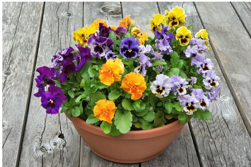 Gerald G Gantar/istockphoto.com