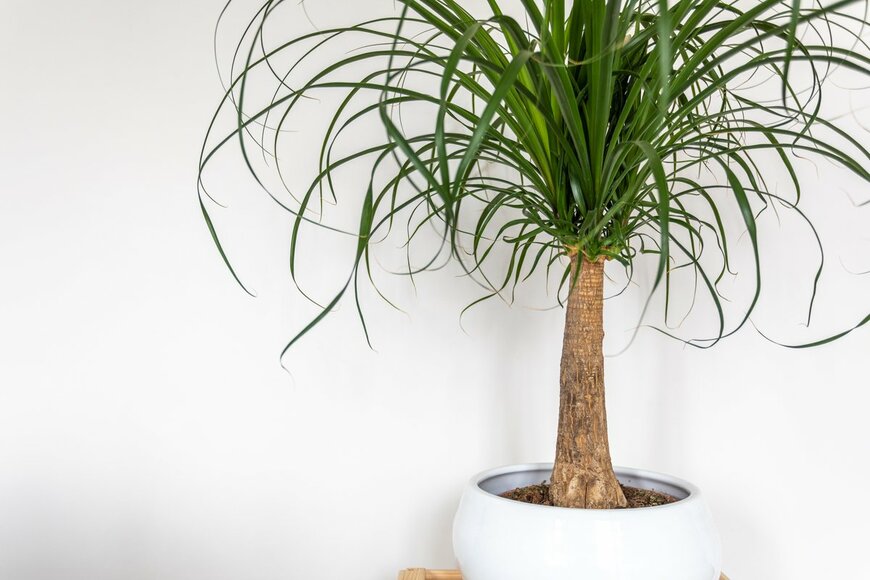 jackbolla/shutterstock.com