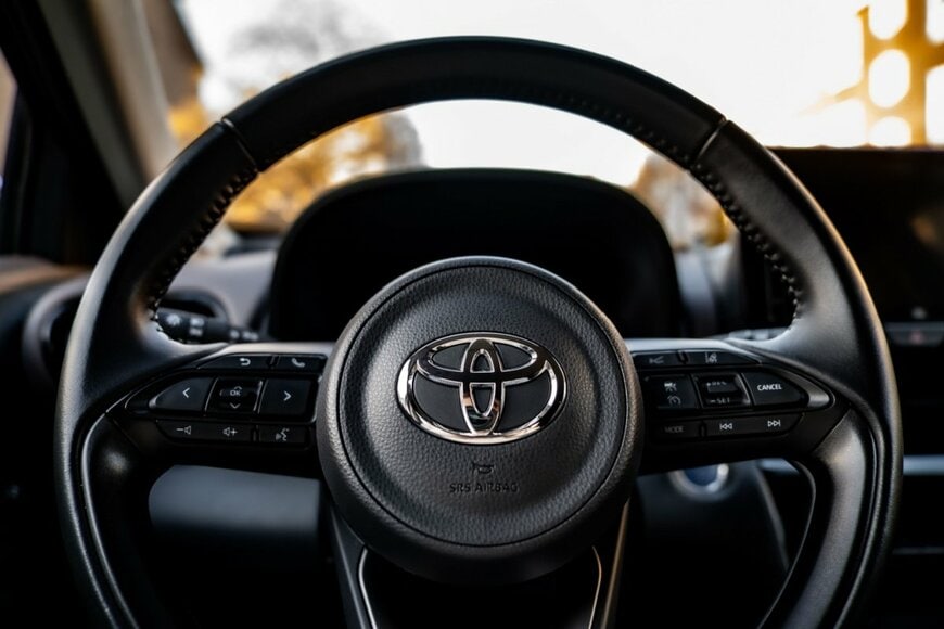 Lvivjanochka Photo/shutterstock.com