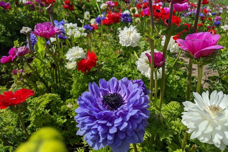 osherro/istockphoto.com