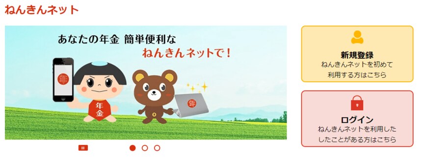 出所：日本年金機構「ねんきんネット」