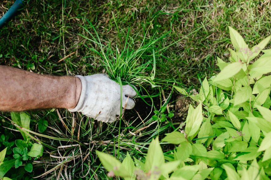 BOKEH STOCK/shutterstock.com