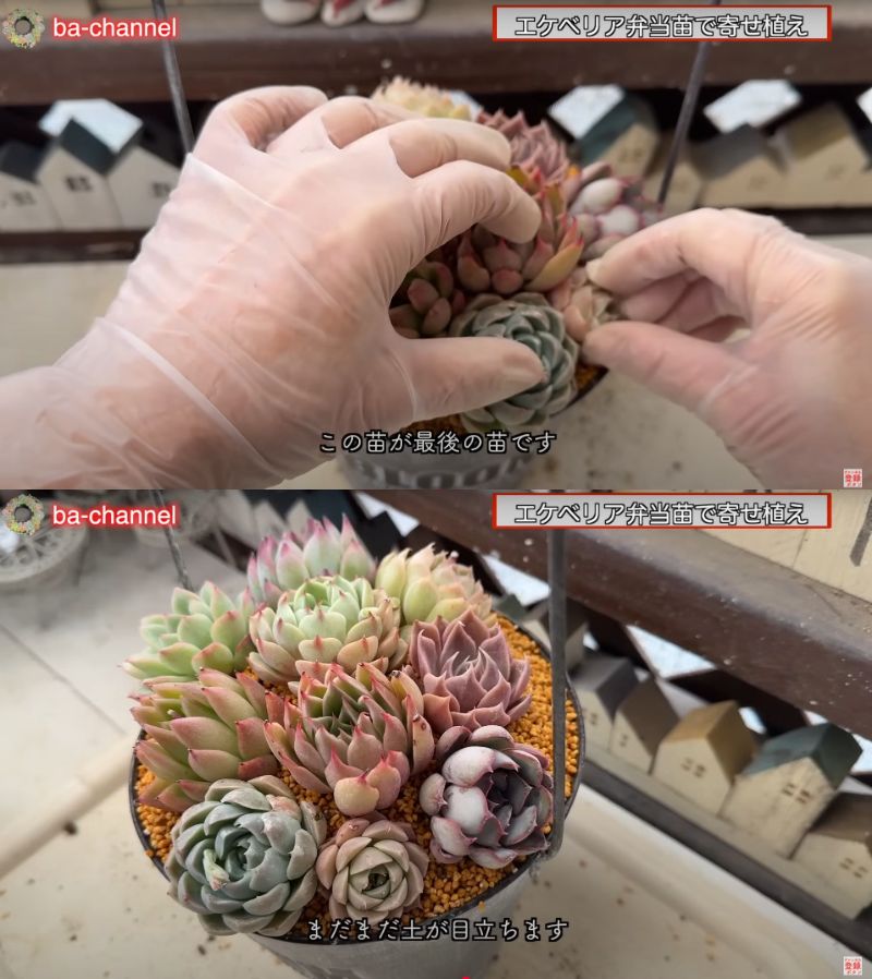 出所：@ba-channel