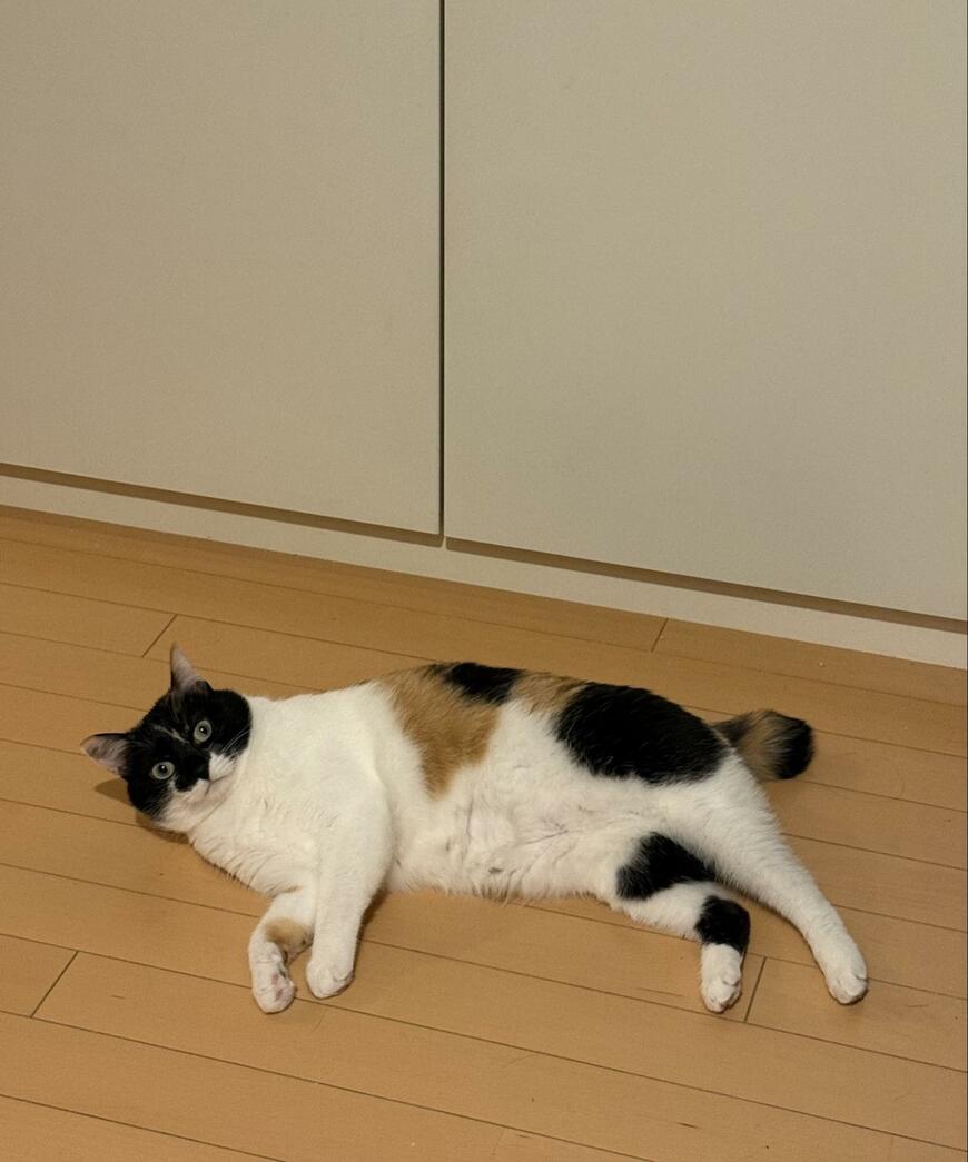 出所：@asjSvnCZl18wKXM