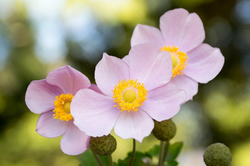 Iva Vagnerova/istockphoto.com